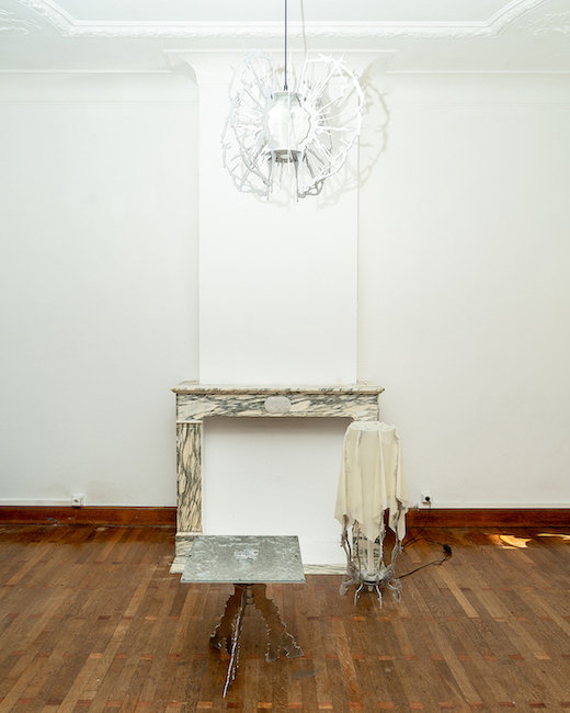 Vestiges Collection